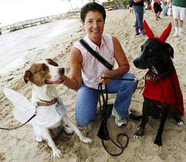 Pet Masquerade and Parade 2008 photo - Duval Street, Key West